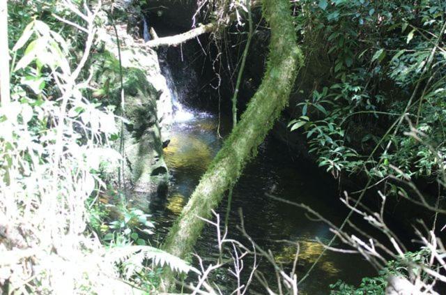 Pousada Quinta Das Nascentes Petrópolis Екстериор снимка