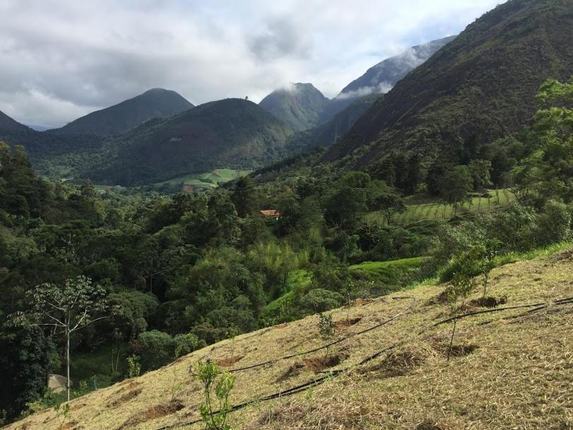 Pousada Quinta Das Nascentes Petrópolis Екстериор снимка