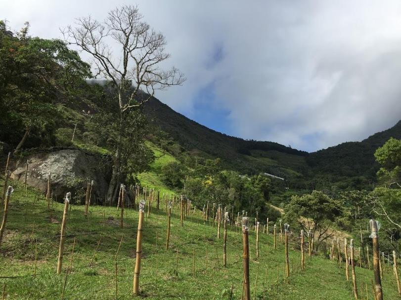 Pousada Quinta Das Nascentes Petrópolis Екстериор снимка
