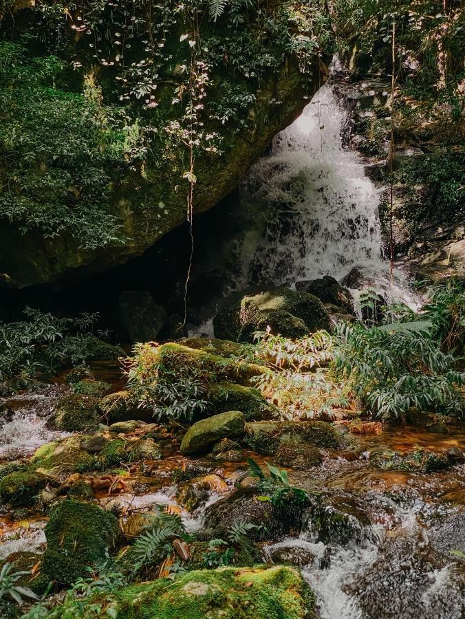 Pousada Quinta Das Nascentes Petrópolis Екстериор снимка